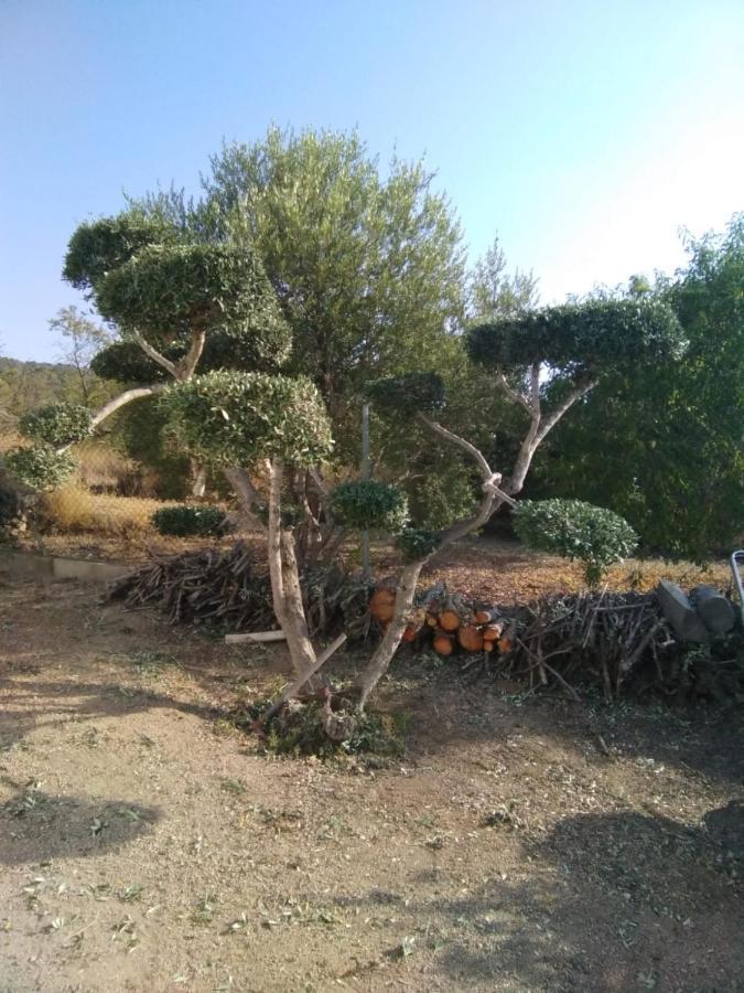 Lo Tros Villa Botarell Dış mekan fotoğraf