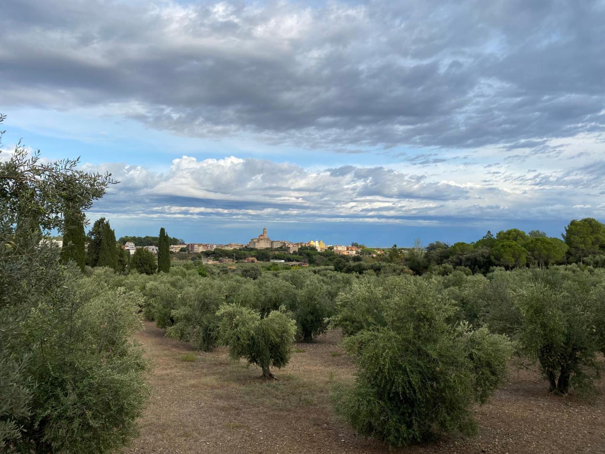 Lo Tros Villa Botarell Dış mekan fotoğraf