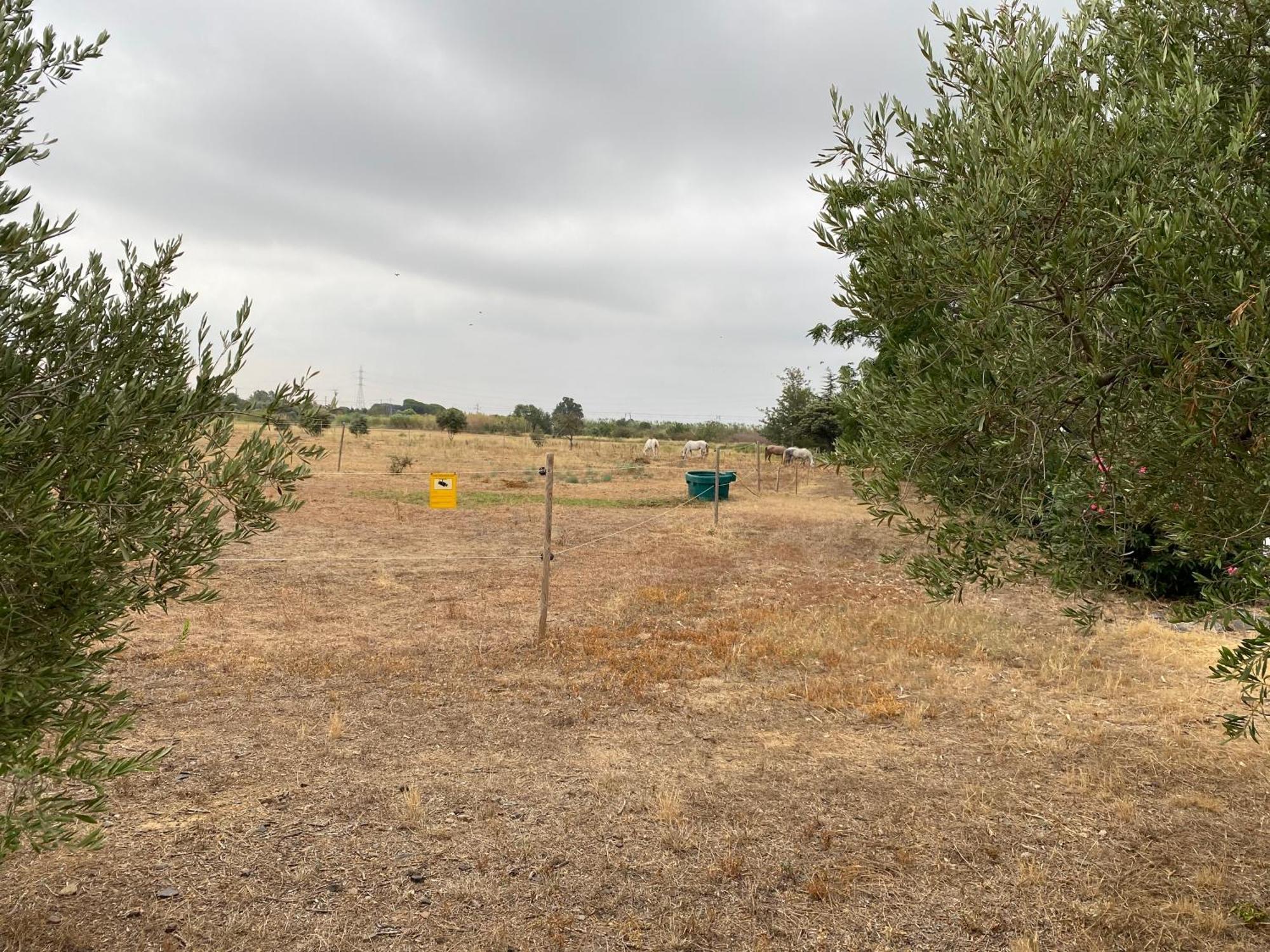 Lo Tros Villa Botarell Dış mekan fotoğraf