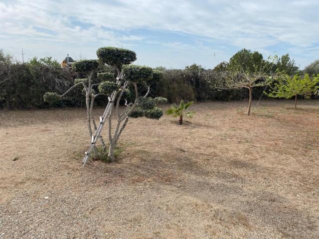 Lo Tros Villa Botarell Dış mekan fotoğraf